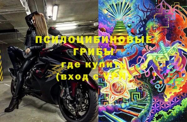 ECSTASY Абаза