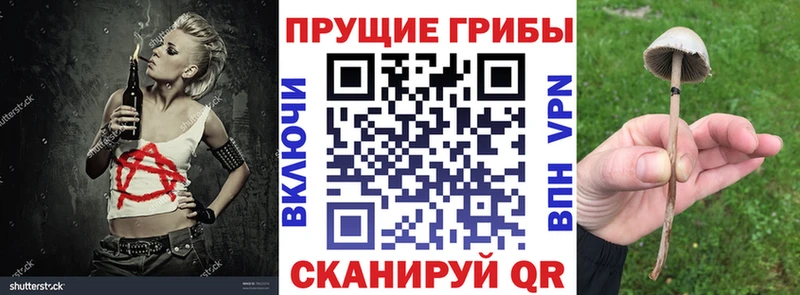 площадка официальный сайт  где купить наркоту  Полтавская  Псилоцибиновые грибы мицелий  ссылка на мегу как зайти 